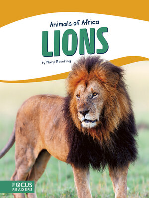 cover image of Lions